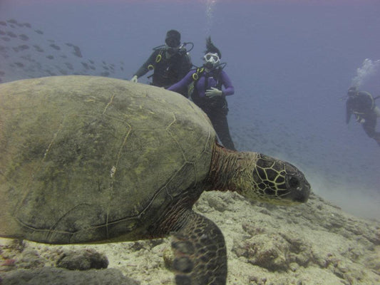 Open Water Class